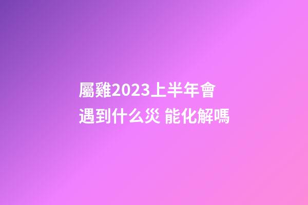 屬雞2023上半年會遇到什么災 能化解嗎